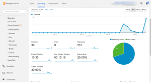 Google Web Analytics Software Overview